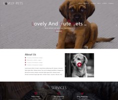 响应式动物宠物介绍单页HTML模板