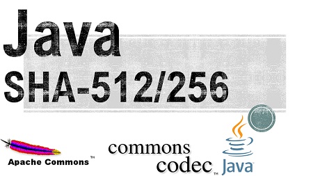 Java中的安全密码哈希：实践密码哈希技术和代码示例