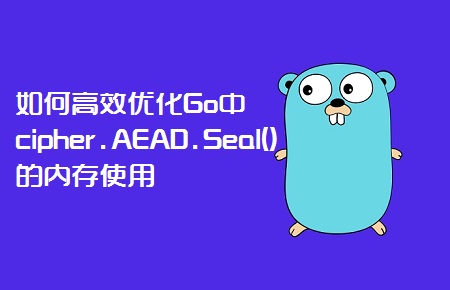 如何高效优化Go中cipher.AEAD.Seal()的内存使用