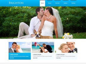 浪漫集体婚礼网站模板