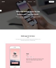 手机apps开发制作公司模板