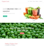 健康有机蔬菜果汁店网站模板