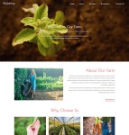简洁农场种植企业网站模板