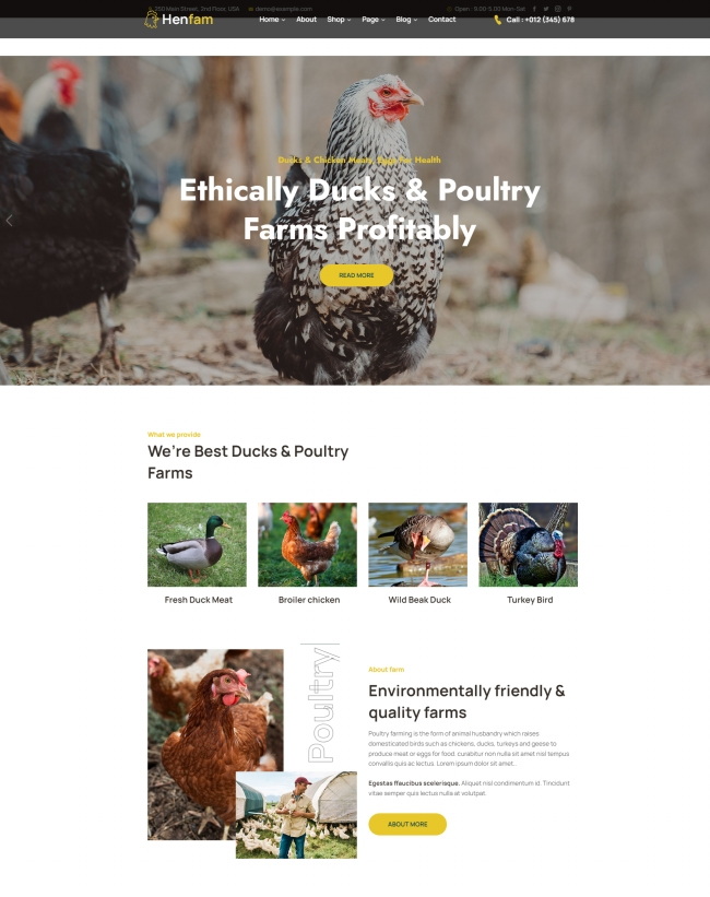 HTML5生态农场家禽网站模板