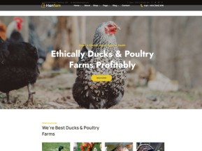 HTML5生态农场家禽网站模板