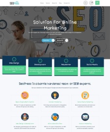 SEO搜索引擎优化网站模板