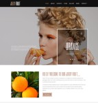 水果果汁餐饮网站模板