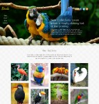 鸟类养殖企业网站模板