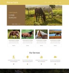 马匹养殖场html5模板