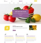 有机蔬菜种植网站模板