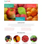 新鲜水果商城CSS模板
