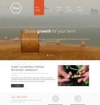 农业致富项目网站模板