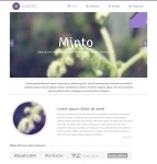 紫色简洁风格HTML模板