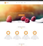 橙色风格餐厅网站模板