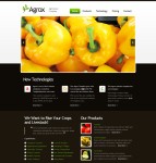 水果蔬菜类html5网站模板