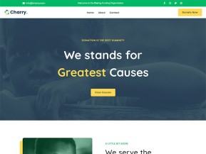 公益慈善筹款平台网站模板
