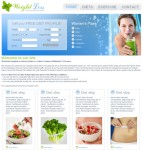 减肥食谱css网站模板