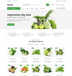 绿色蔬菜网上超市网站模板