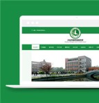 绿色html高级中学学校网站前端模板下载