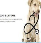 Veterinary蓝色引导式宠物护理专业团队诊所网站模板