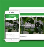 简洁绿色有机水果网站模板下载