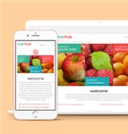 红色样式风格网上水果销售企业网站模板
