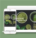 宽屏响应式绿色有机蔬菜种植网站静态模板