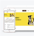 黄色主题宠物企业响应式模板下载