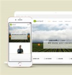 适合农业发展公司官网html5模板