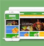 绿色水果蔬菜电子商务商城网站模板