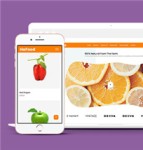 橙色大气有机水果蔬菜HTML5网站模板