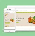 绿色蔬菜水果生鲜超市网站模板下载
