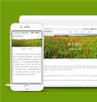 简洁绿化企业网站模板下载