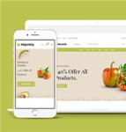 简洁蔬菜水果生鲜超市电商网站模板下载