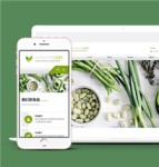 绿色清新布局有机水果蔬菜食品公司网站模板