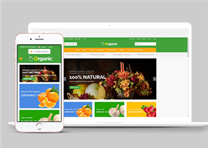 适合水果蔬菜电子商务商城网站模板