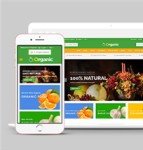 适合水果蔬菜电子商务商城网站模板