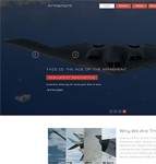 航天模型军事爱好者俱乐部网站模板