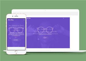 紫色炫彩宽屏多色块眼镜响应式网站模板