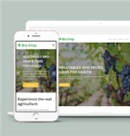 自适应绿色有机农产品种植公司html网站模板