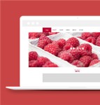 红色健康无公害水果销售加盟公司网站模板