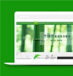 创意绿色竹子背景管道制造公司网站模板