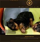 深棕色宠物乐园诊所企业网站模板