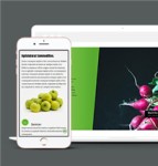 大气绿色HTML5农业门户网站模板