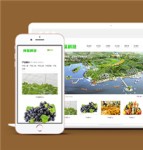 响应式绿色环保科技企业网站模板下载