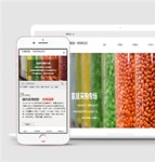 日用百货家居采购办公用品大豆食物零食HTML5网站模板