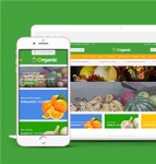 水果蔬菜销售绿色商城网站模板