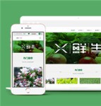 新鲜蔬菜水果种植类型网站模板