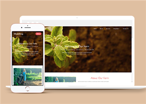 宽屏简约农场植物种植企业网站模板