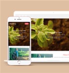 宽屏简约农场植物种植企业网站模板
